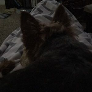 Meet your Posher, Kerry